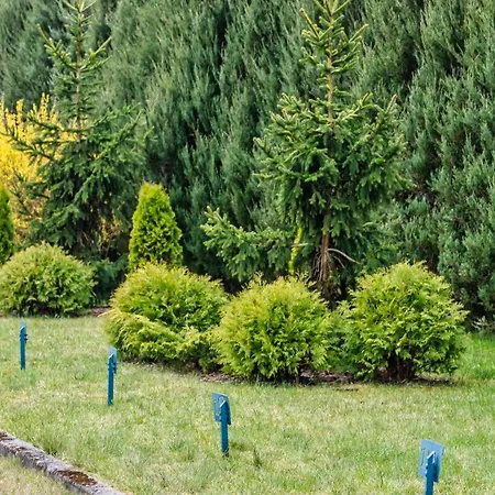 Apartment Piamola Turkusowa