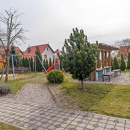 Piamola Turkusowa