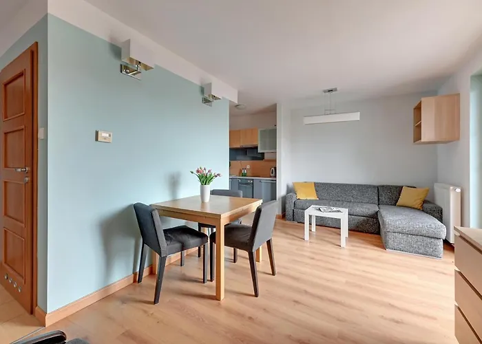 Piamola Turkusowa Daire *