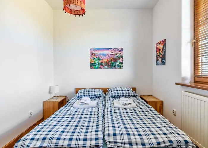 Piamola Turkusowa, Bezplatne Solarium *